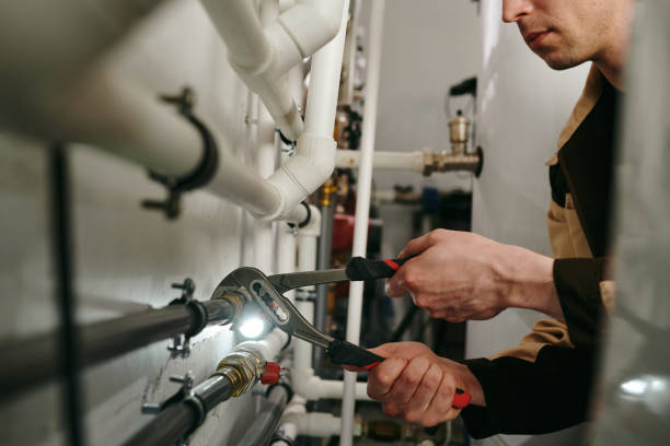 Best Plumbing Services Near Me  in West Homestead, PA